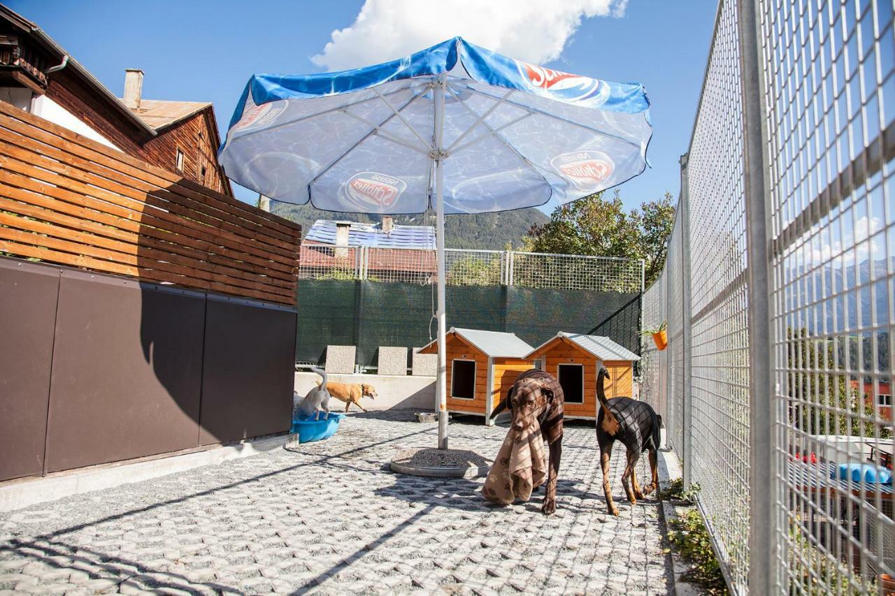 Ferienwohnung Bei Cooldog イムスト エクステリア 写真